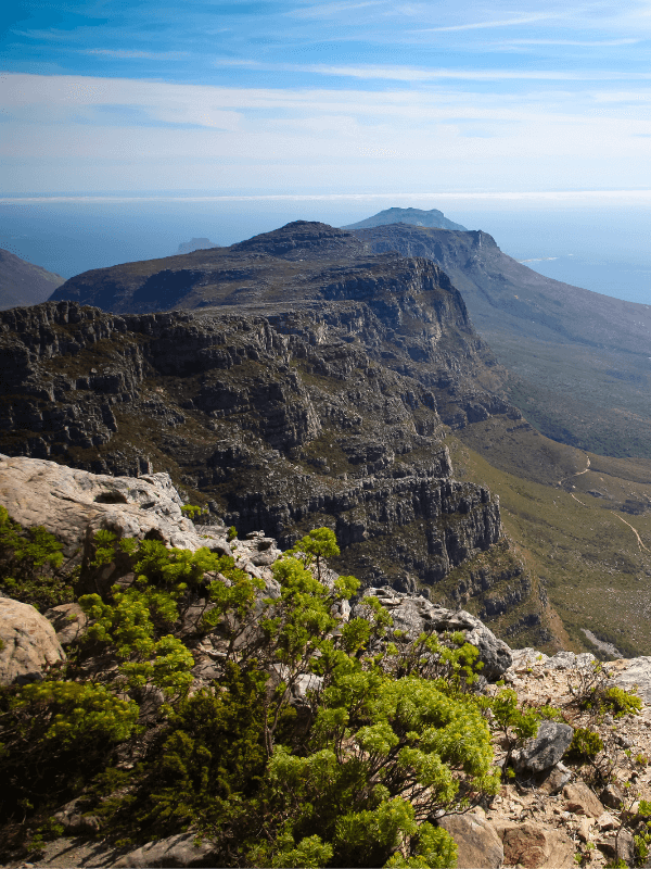 Cape Town's Best-Voted Hiking Trails